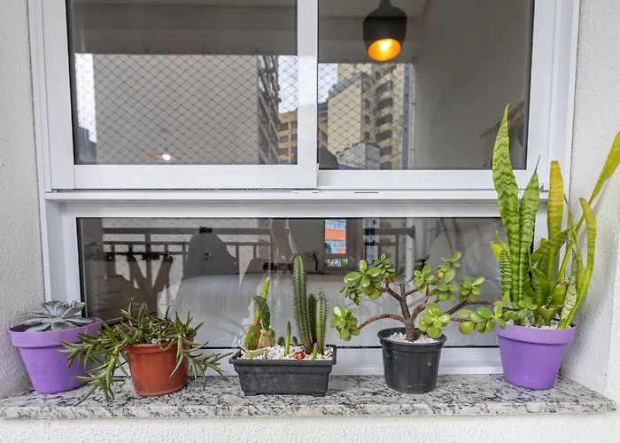Apartamento Em Sao Paulo-Bela Vista-Studio Novo